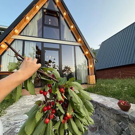 Agroturizem Rrahmani Villa *